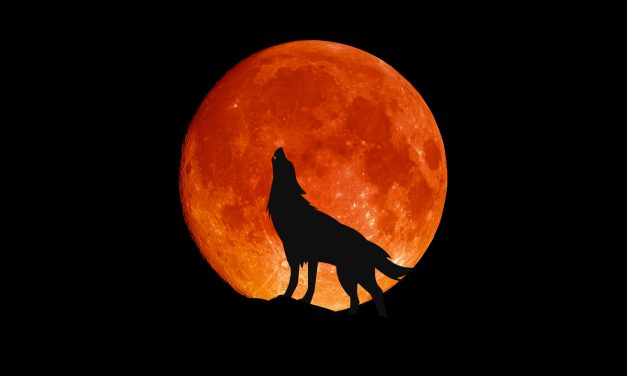 Howling at the Moon? Why You May Feel “Off” This Week